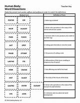 Medical Terminology Abbreviations Worksheet Pictures