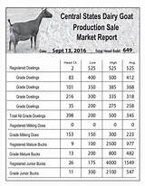 Iowa Goat Auction
