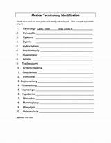 Medical Math Practice Worksheets Pictures