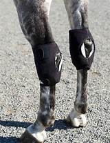 Pictures of Equine Therapy Boots