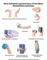 Muscle Strengthening Exercises Knee Ligament Pictures