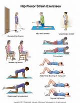 Hip Joint Muscle Strengthening Exercises Pictures