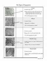 Forensic Science Technician Schools Online Pictures