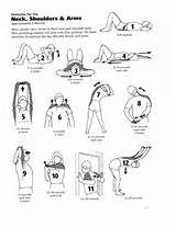 Neck And Shoulder Muscle Exercises Images