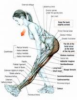 Pictures of Home Hamstring Workouts
