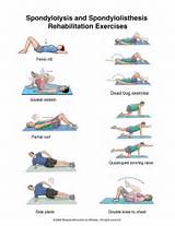 Abdominal Exercises Photos