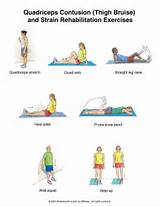 Quadriceps Muscle Exercises Images