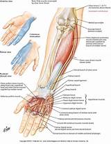 Images of Median Nerve Damage Recovery