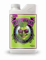 Pictures of Advanced Nutrients Big Bud Liquid