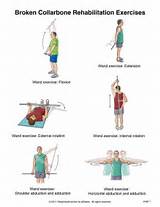 Kneecap Muscle Exercises Photos