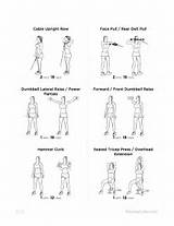 Shoulder Workout Exercises Pictures