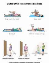 Images of Gluteal Muscle Exercise
