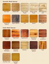 Pictures Of Different Types Of Wood