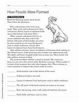 Images of Fossils Worksheet