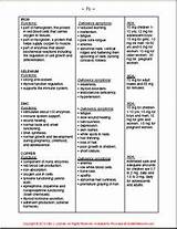 Vegan Tube Feeding Formula Pictures