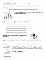 Photos of Theory Of Evolution Review Worksheet