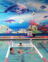 Pictures of American Swim Academy Livermore