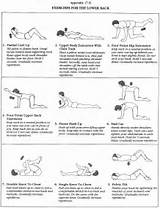 Exercises Easy On Lower Back Images