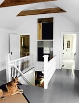 Wood Floors With Dogs Images