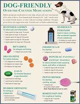 Veterinary Pain Medications Images
