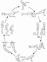 Pictures of Different Types Of Circuit Training