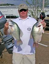 Crappie Fishing Guides In Arkansas