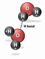 Hydrogen Bonding In Water Pictures
