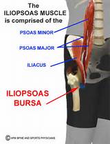 Pictures of Iliopsoas Muscle Exercises