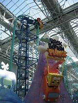 Pictures of Moa Theme Park
