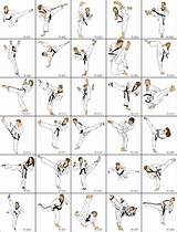 Images of Basic Taekwondo Kicks