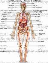 Everything Medical Locations Images