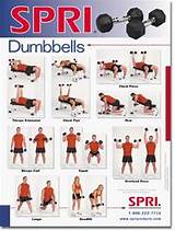 Workout Exercises Dumbbells