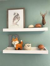 Pictures of Woodland Shelf