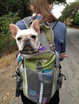 Hiking Dog Backpack Carrier Pictures
