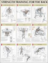 Pictures of Strength Exercises Program