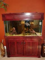 Photos of Cherry Wood Aquarium Stand