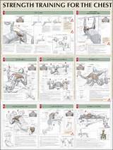 Chest Muscle Exercises At Home Photos