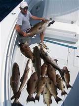 Southport Fishing Charters Photos