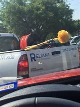 Pictures of Reliant Pest Control Reviews