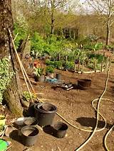 Images of Permaculture Gardening