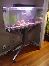 Images of 55 Gallon Fish Aquarium Stand