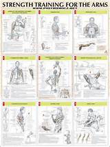 Good Strength Training Exercises Images