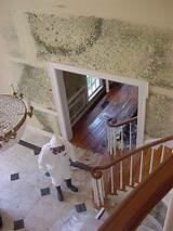 Photos of Home Mold Removal Service