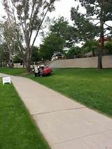 Pictures of Weed Control Scottsdale Az