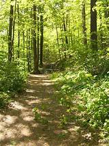 Hiking Trails In Ohio With Waterfalls Pictures