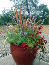 Images of Front Porch Flower Arrangements