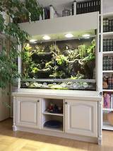 Pictures of Reptile Tank Shelves