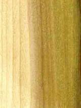Yellow Poplar Wood For Sale Images