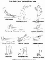 Basic Muscle Strengthening Exercises Pictures