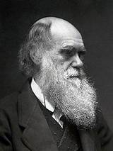 Theory Of Evolution Before Darwin Images